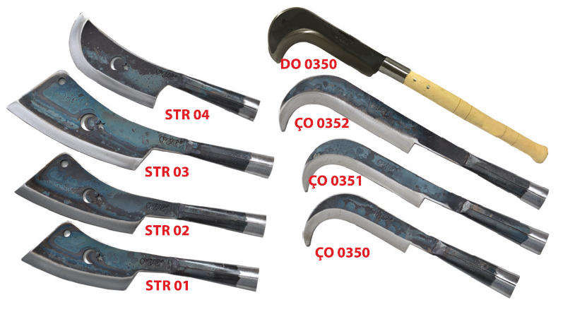 ORAK - SATIR ÇEŞİTLERİ