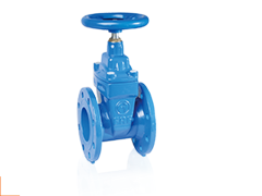 Sürgülü Vana DN80 3'' Elastomer Baskılı (F4)-Sfero Döküm