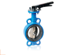 Kelebek Vana DN250 10''