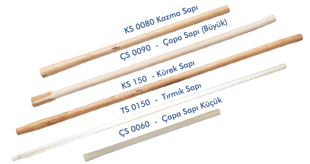 MUHTELİF SAP ÇEŞİTLERİ