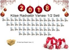 Yılbaşı Özel Prestij Köşe Radyatör Vanası 50 Lİ